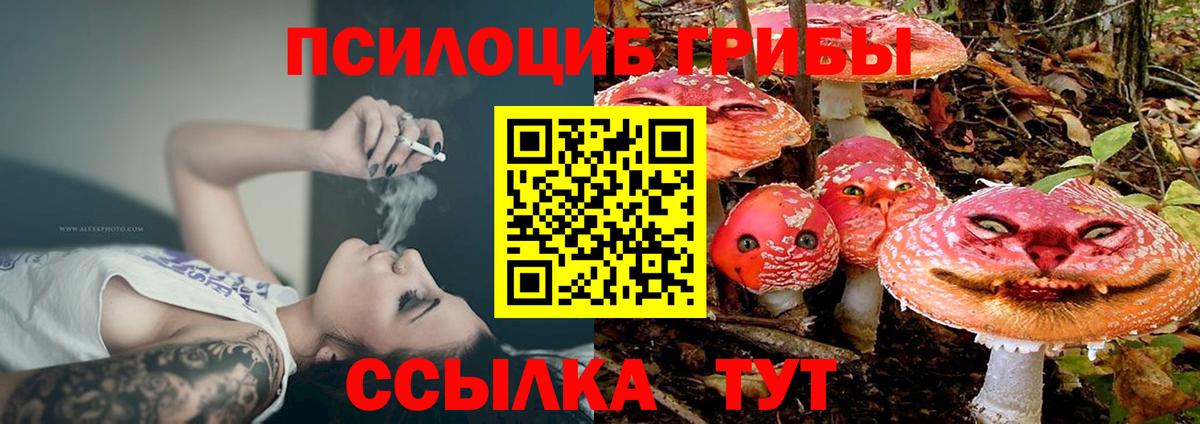 Галлюциногенные грибы Magic Shrooms  Вход с VPN  Костомукша  Галлюциногенные грибы Psilocybine cubensis 